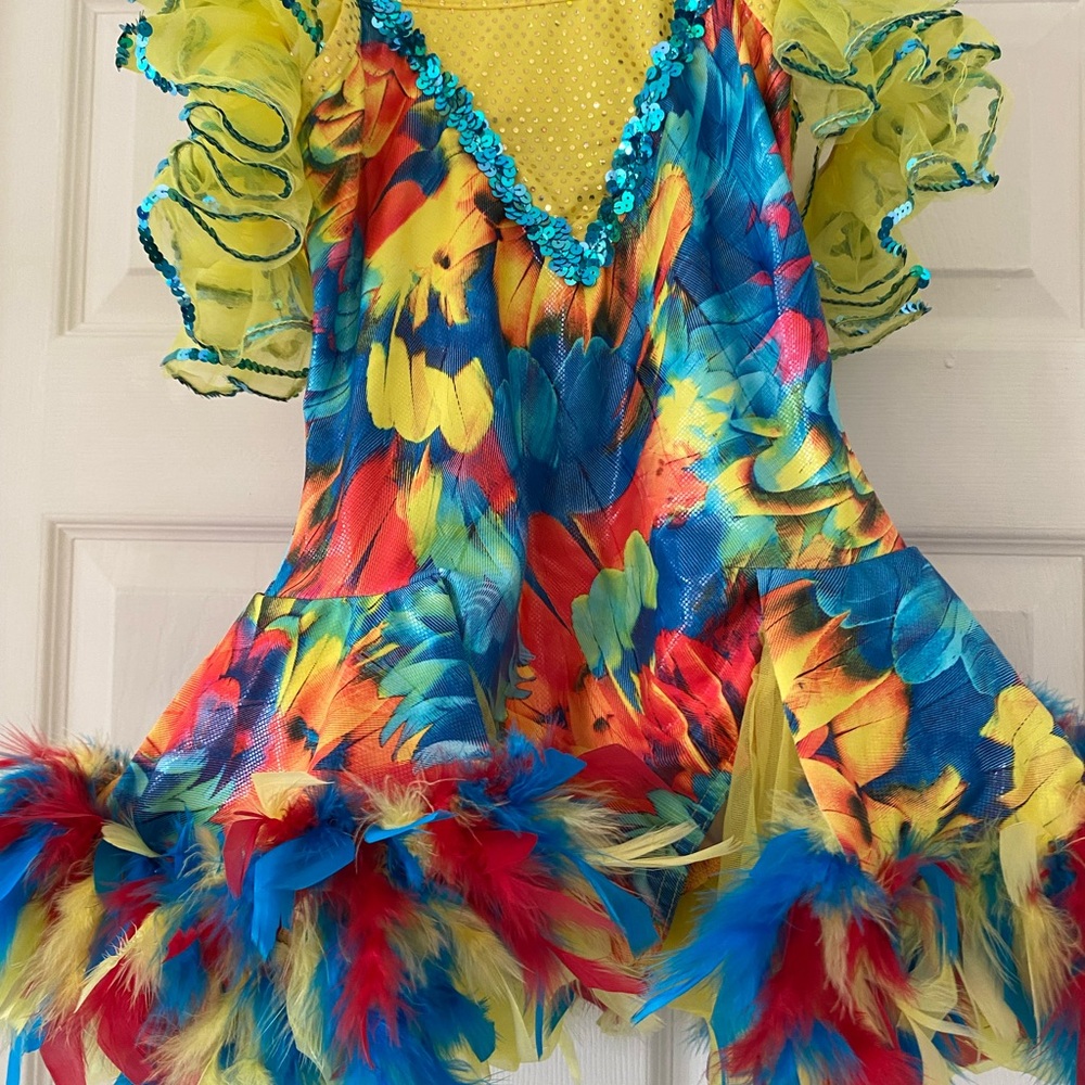 A Wish Come True Tropical Bird Costume Dance-wear Size LC large child 12/14 - Picture 3 of 6